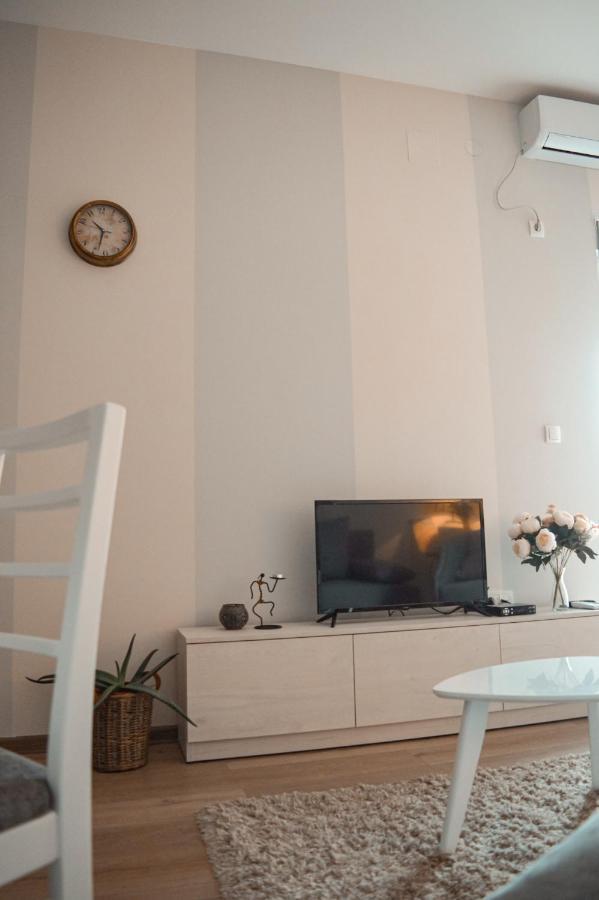 Apartman Lena Banja Koviljaca Exterior photo